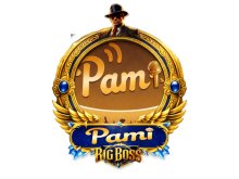 Pami Chat